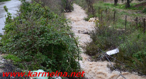 גשמי ברכה בכרמל :סרטון ותמונות